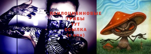 шишки Абдулино