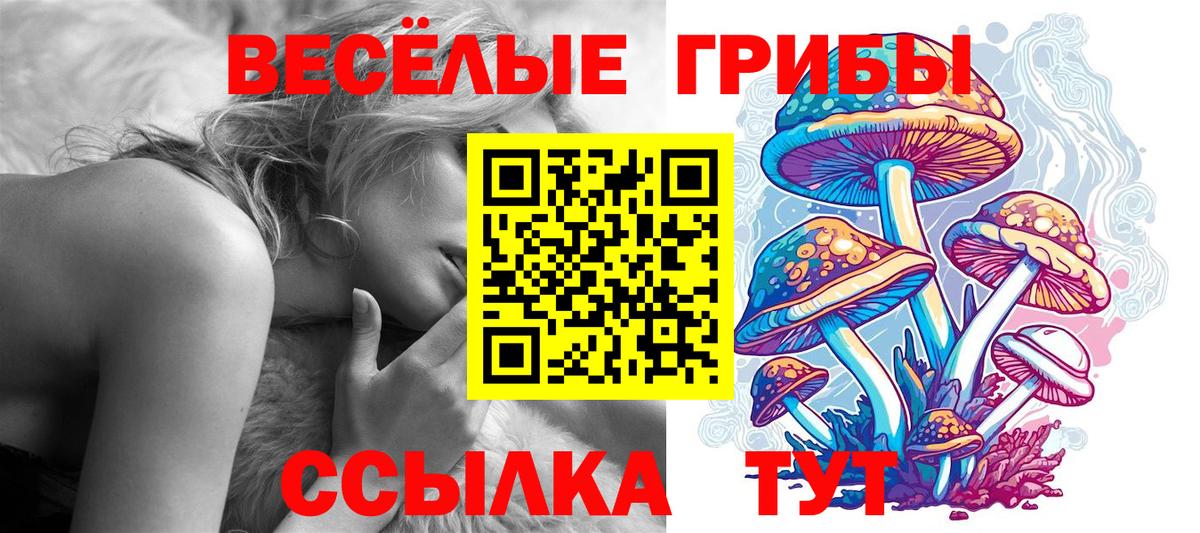 Псков  Псилоцибиновые грибы Magic Shrooms  Вход с VPN  Псилоцибиновые грибы прущие грибы 